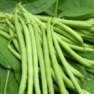 French Beans