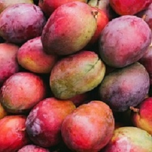 Mangoes